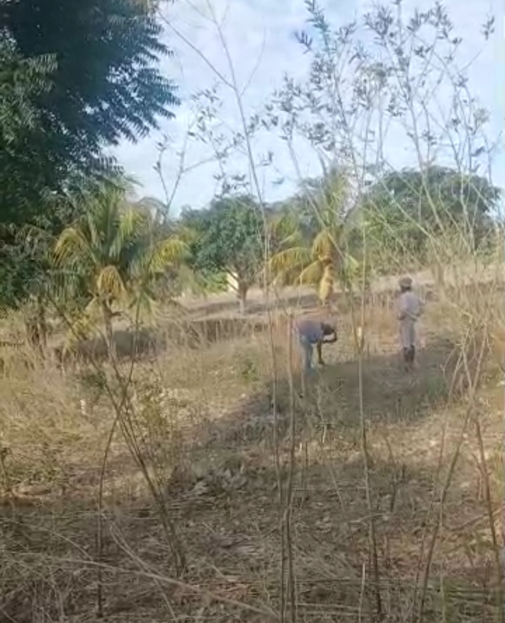 77 santyèm tè pou vann an lotisman  (10 011 m²)