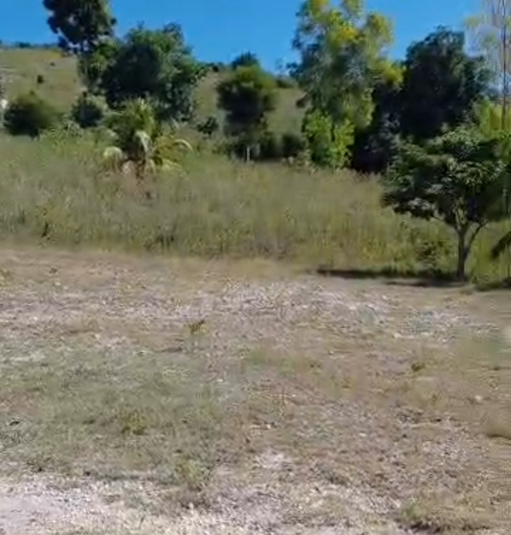 77 santyèm tè pou vann an lotisman  (10 011 m²)