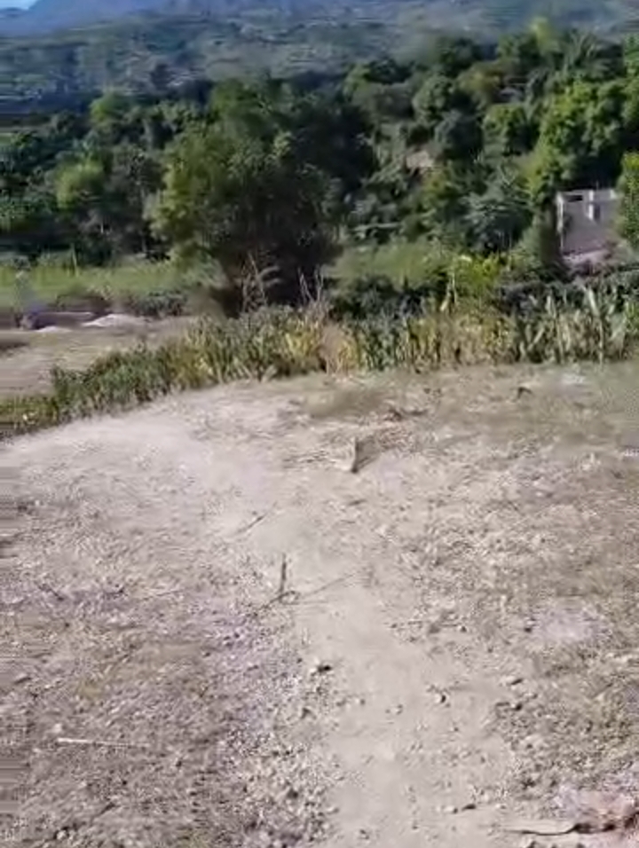 77 santyèm tè pou vann an lotisman  (10 011 m²)