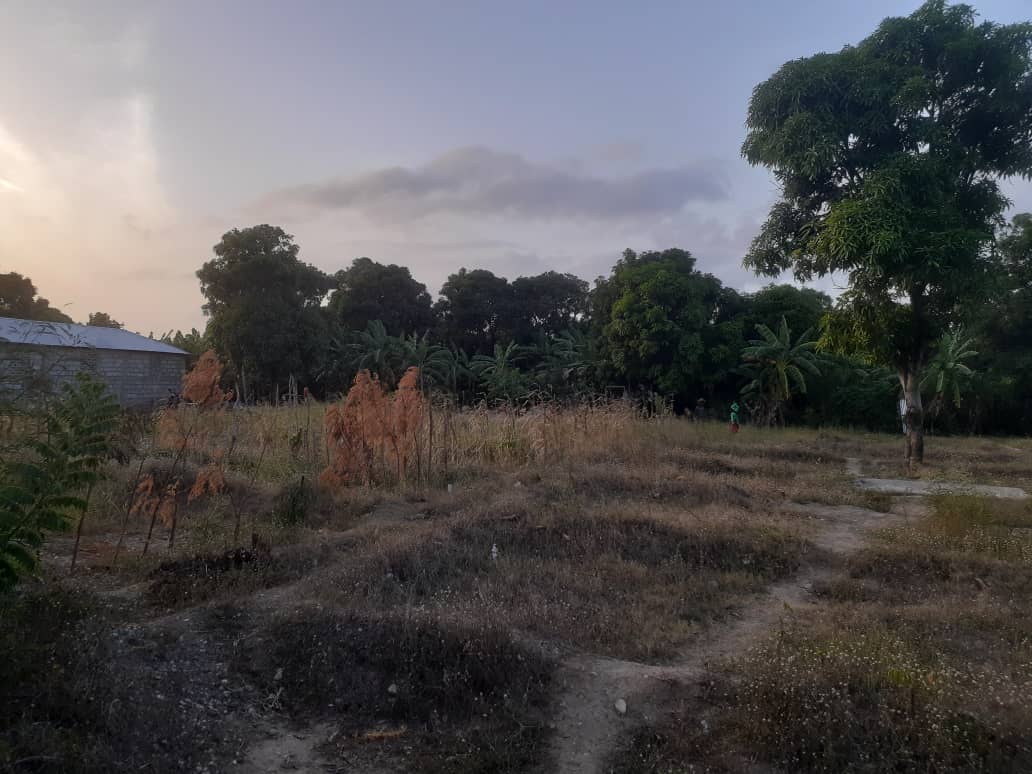 26 karo tè pou vann ( 6 santyèm, 7 santyèm, 8 santyèm ...)